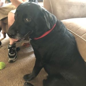 Meet your Posher, Tim